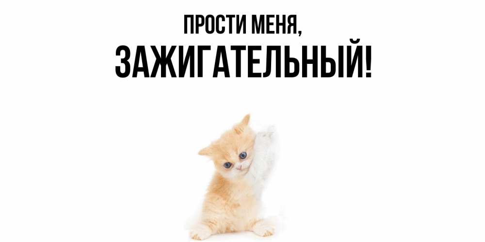 Картинка Прости меня, зажигательный