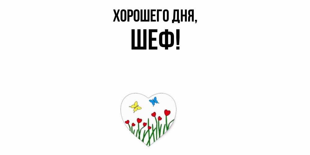 Открытка  для любимых и родных. Шеф, Хорошего дня  