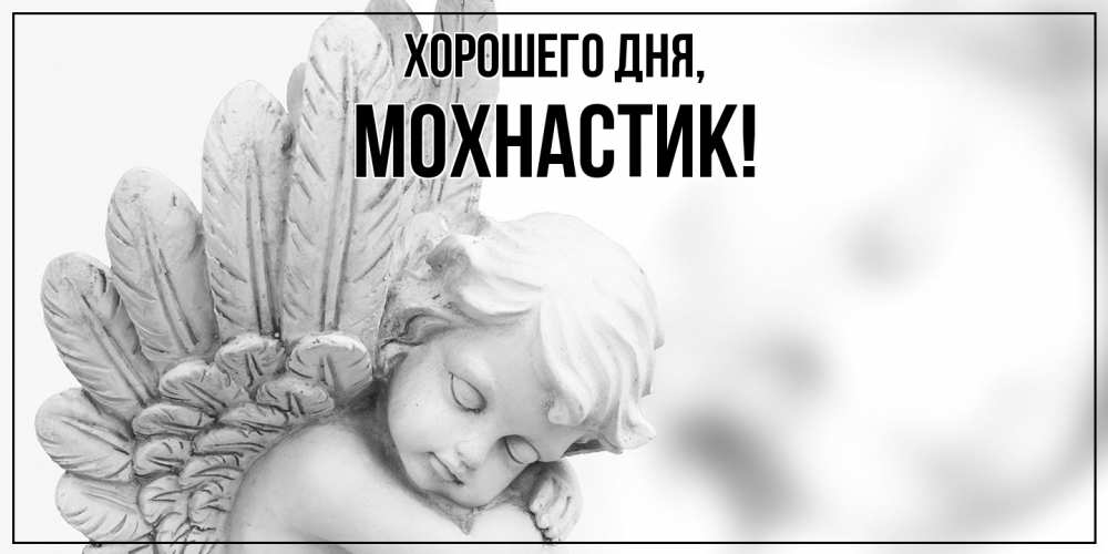 Открытка  для любимых и родных. мохнастик, Хорошего дня  