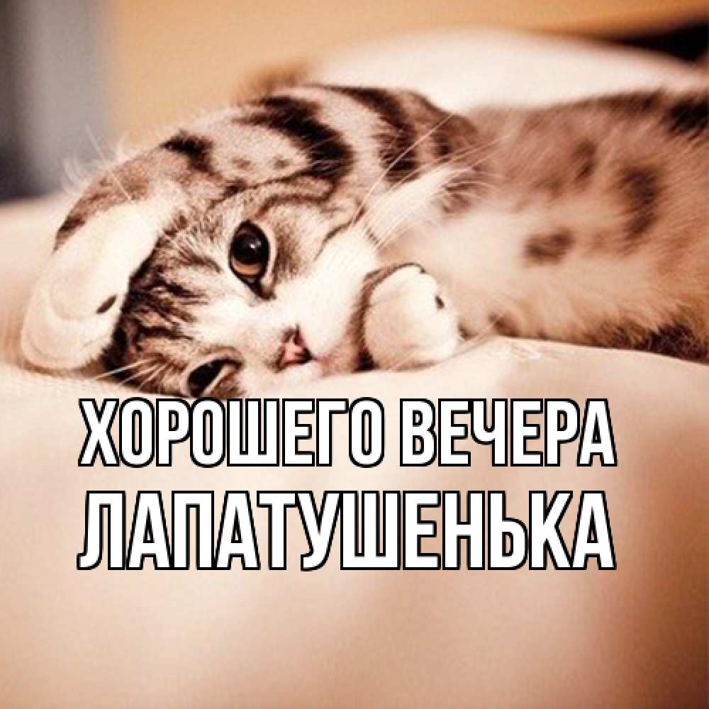 Открытка  для любимых и родных. лапатушенька, Хорошего вечера  