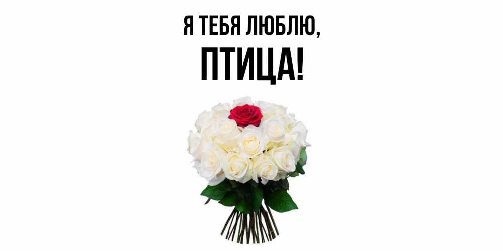 Картинка Я тебя люблю, птица