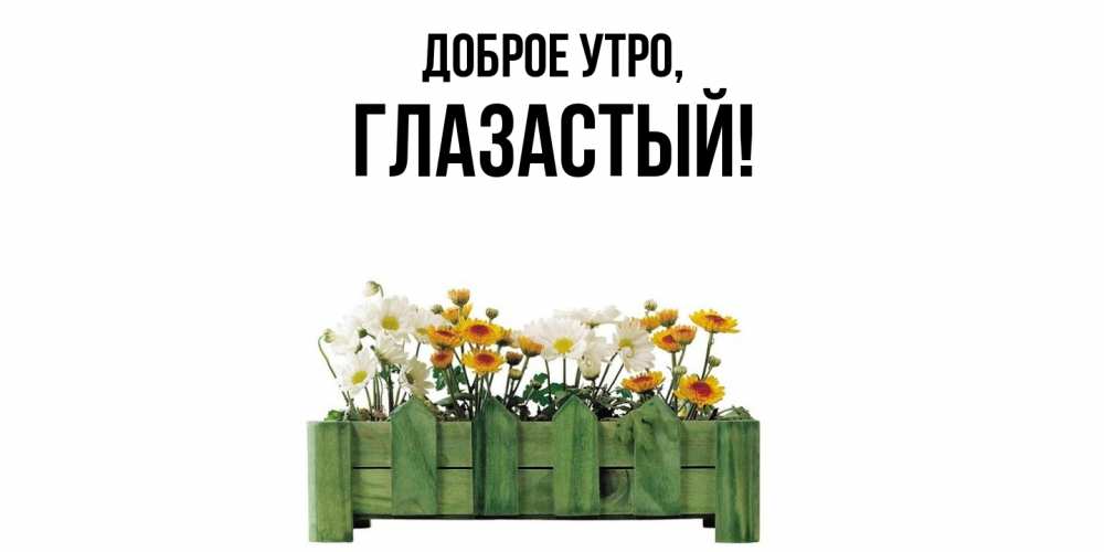 Открытка  для любимых и родных. глазастый, Доброе утро  