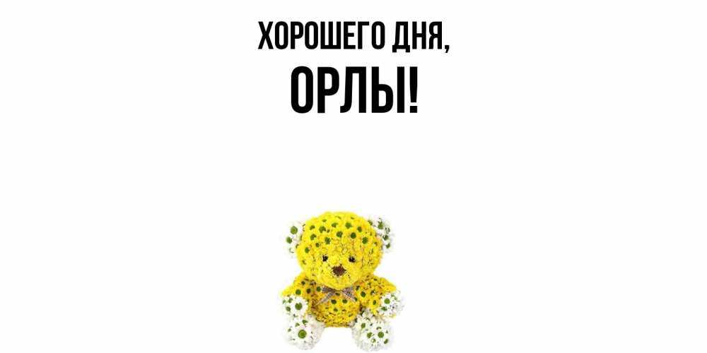 Открытка  для любимых и родных. орлы, Хорошего дня  