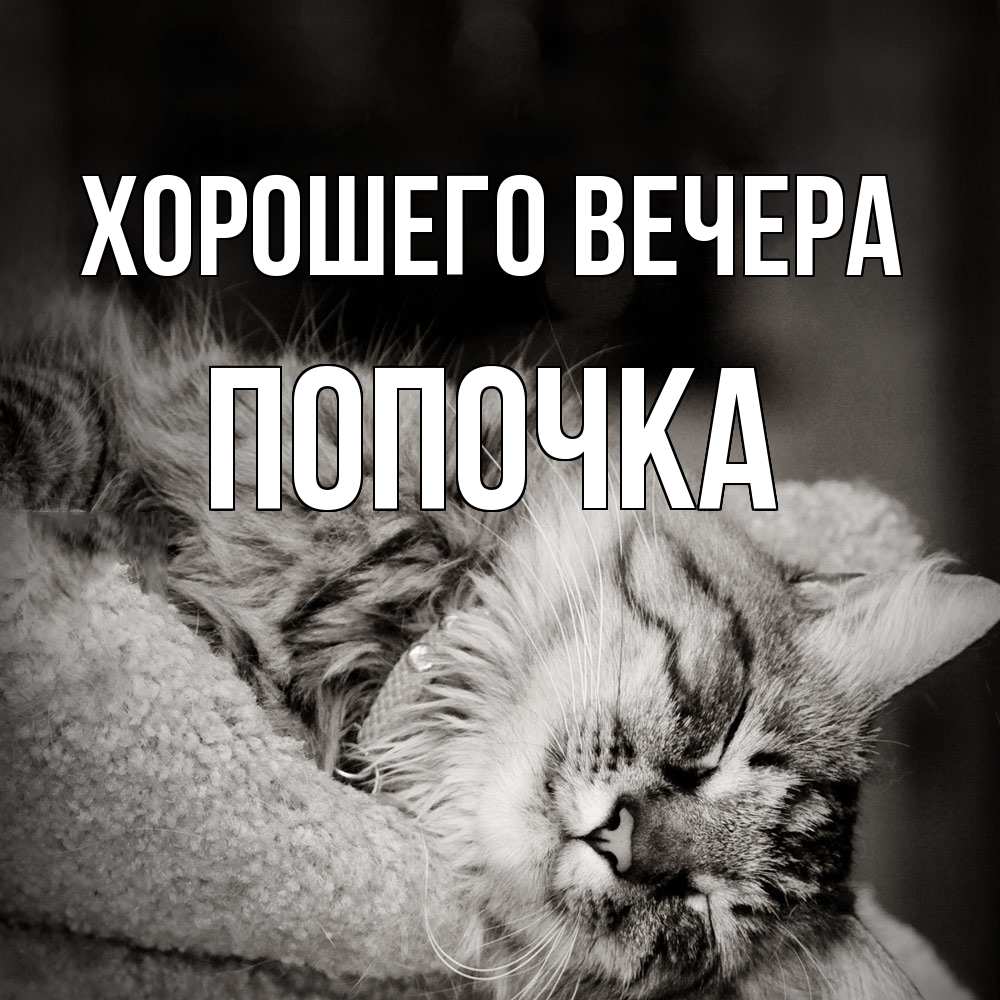 Открытка  для любимых и родных. попочка, Хорошего вечера  