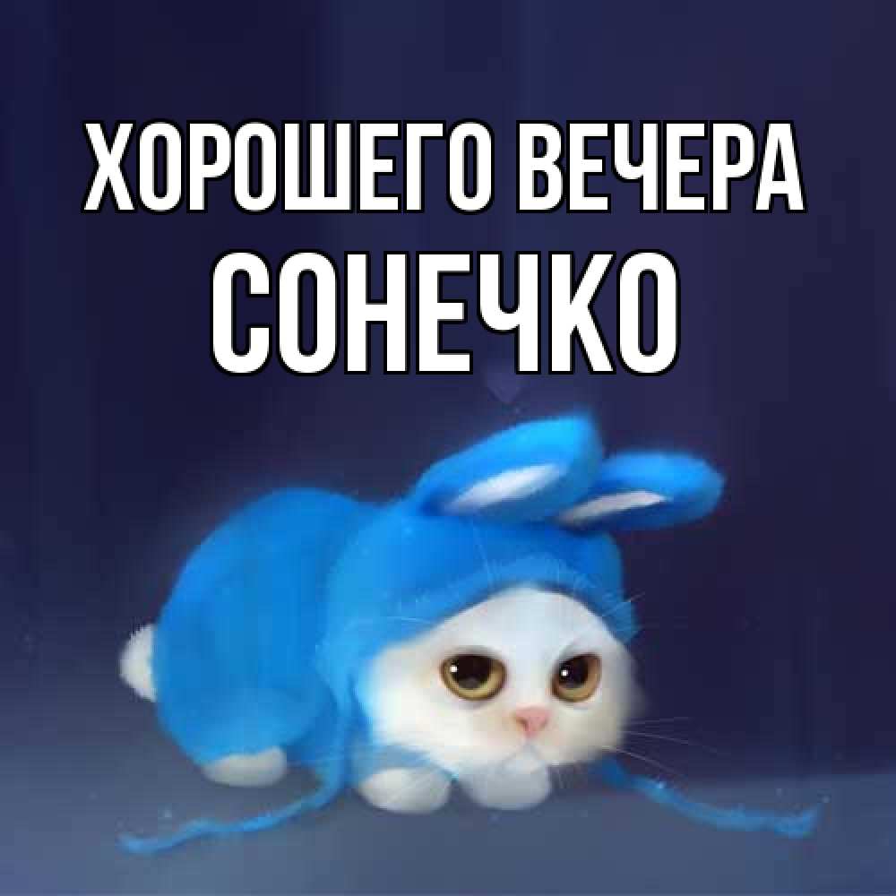 Открытка  для любимых и родных. сонечко, Хорошего вечера  