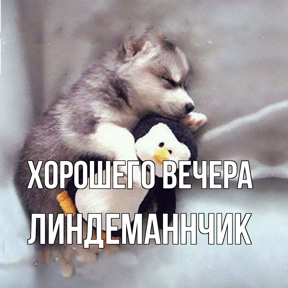 Открытка  для любимых и родных. линдеманнчик, Хорошего вечера  