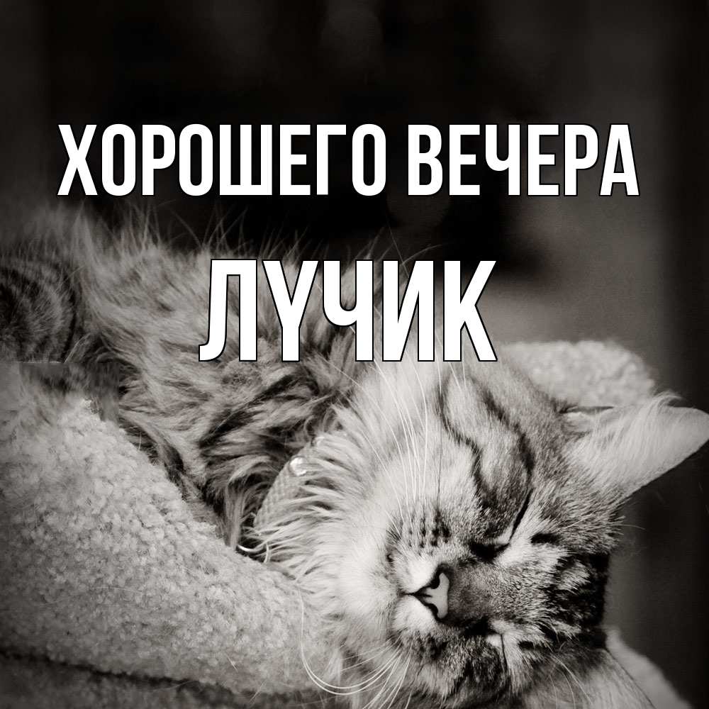 Открытка  для любимых и родных. лyчик, Хорошего вечера  