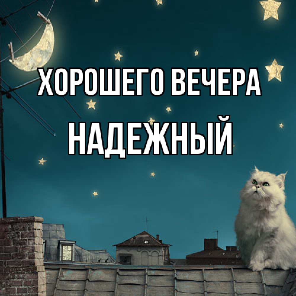 Открытка  для любимых и родных. надежный, Хорошего вечера  
