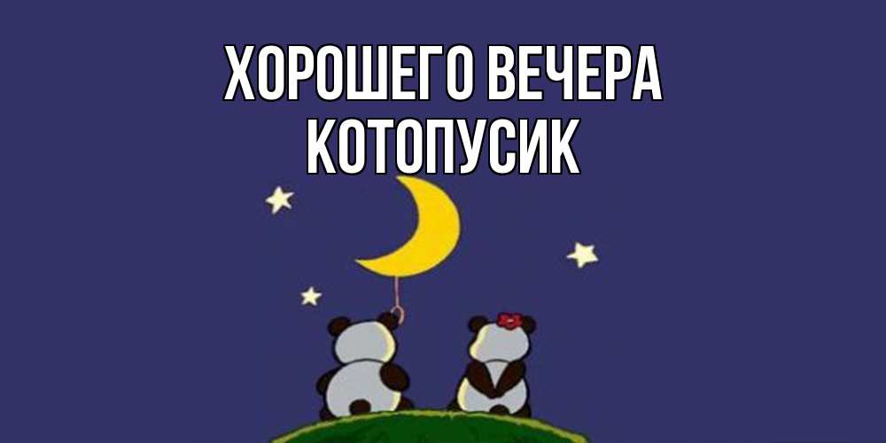Открытка  для любимых и родных. котопусик, Хорошего вечера  