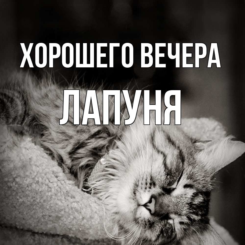 Открытка  для любимых и родных. лапуня, Хорошего вечера  