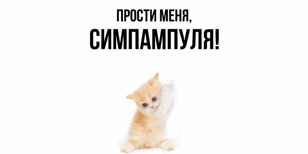 Картинка Прости меня, симпампуля
