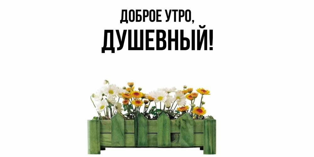 Открытка  для любимых и родных. душевный, Доброе утро  