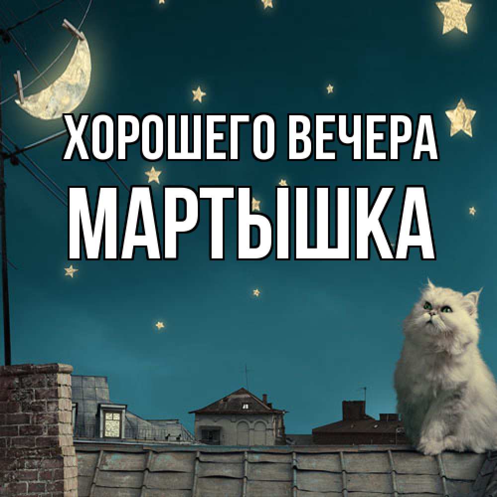 Открытка с именем, мартышка, Хорошего вечера