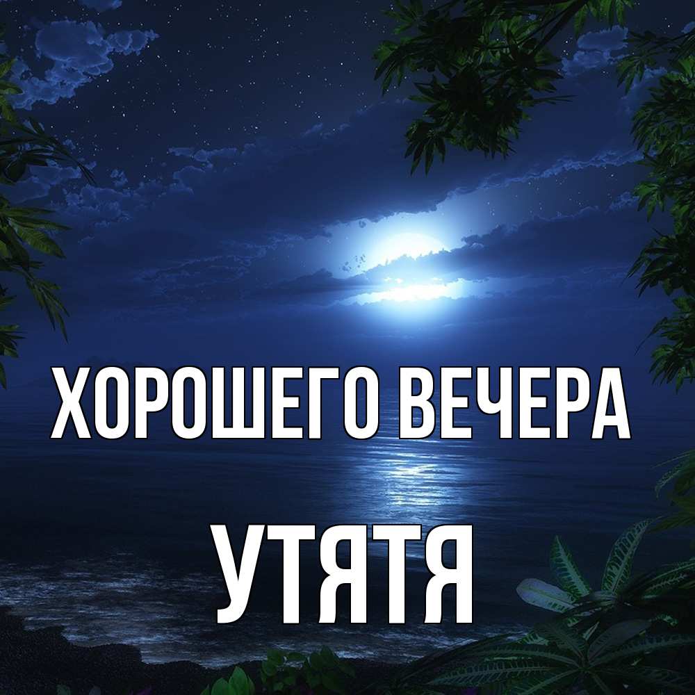 Открытка  для любимых и родных. утятя, Хорошего вечера  
