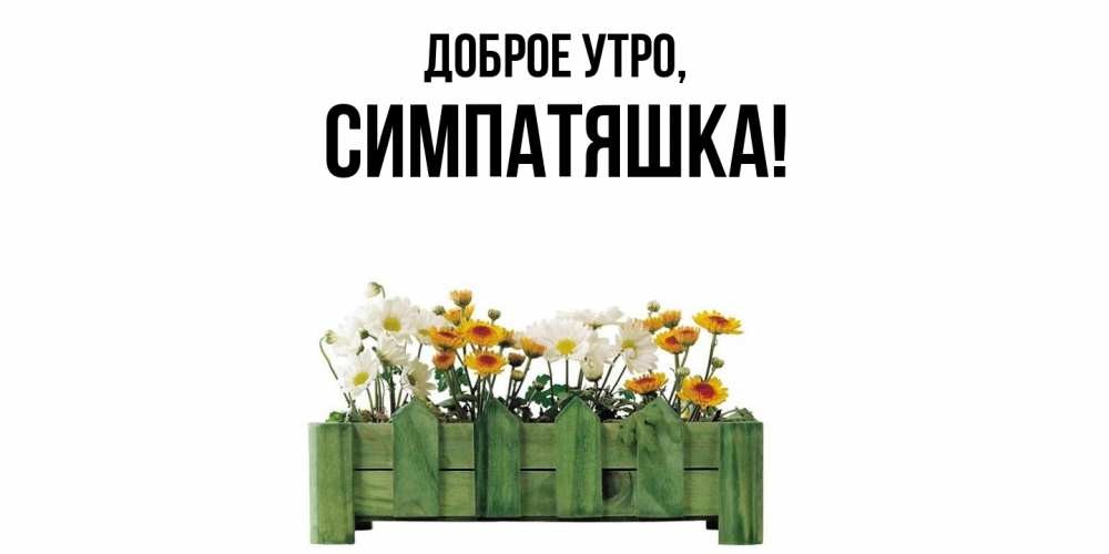 Открытка  для любимых и родных. симпатяшка, Доброе утро  