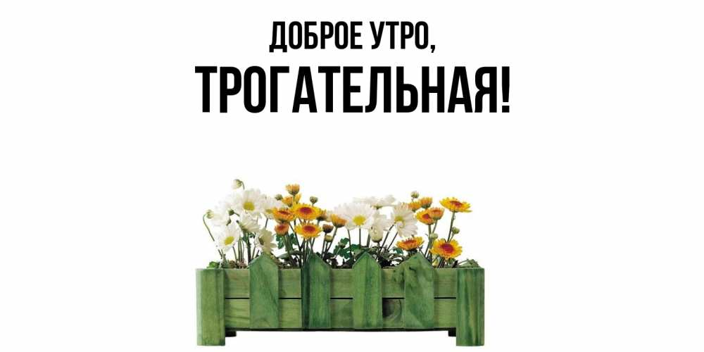 Открытка  для любимых и родных. трогательная, Доброе утро  