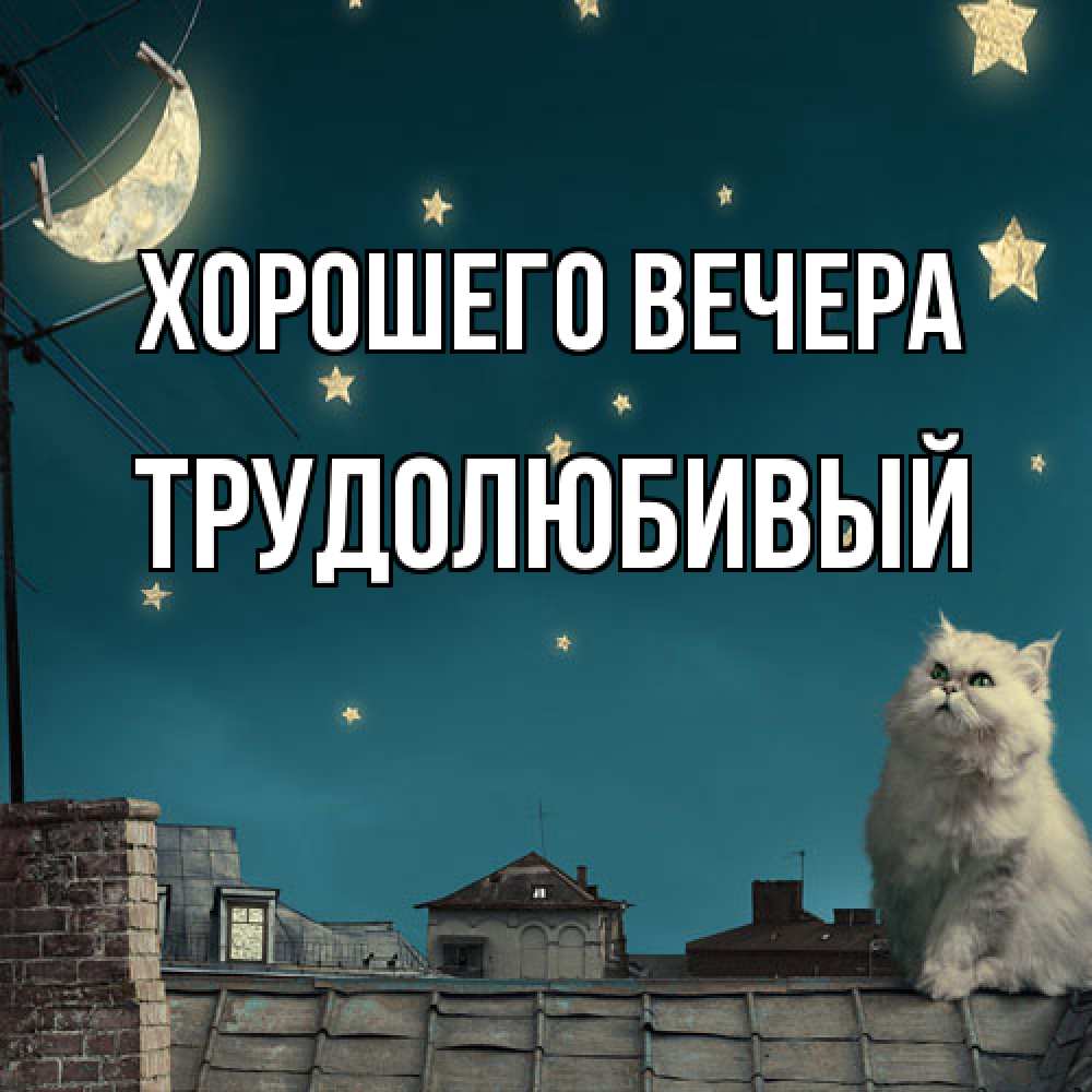 Открытка  для любимых и родных. трудолюбивый, Хорошего вечера  