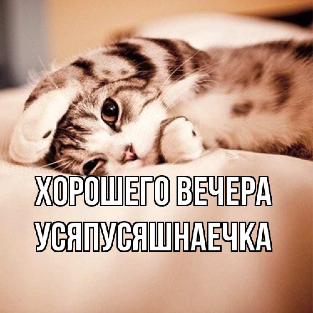 Открытка  для любимых и родных. усяпусяшнаечка, Хорошего вечера  
