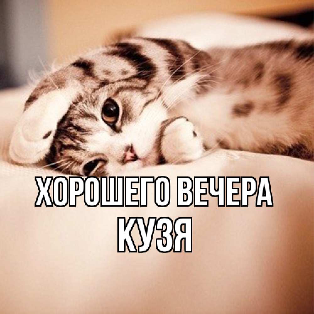 Открытка  для любимых и родных. кузя, Хорошего вечера  