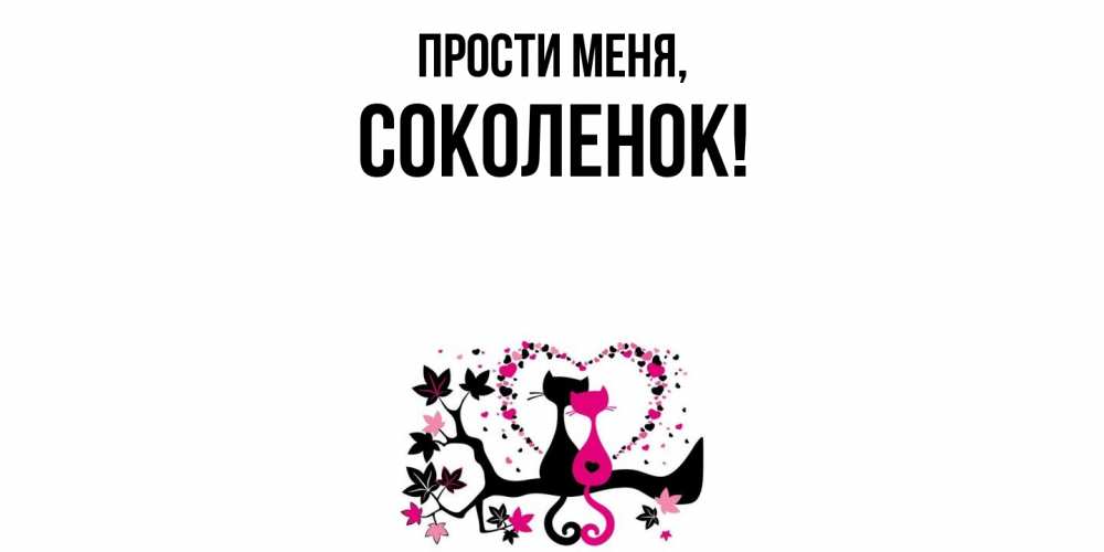 Открытка  для любимых и родных. соколенок, Прости меня  