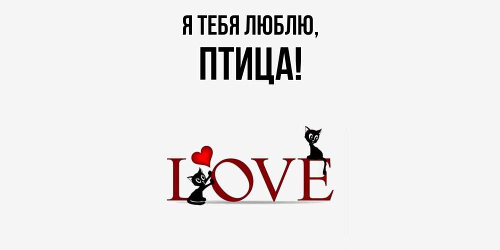 Картинка Я тебя люблю, птица