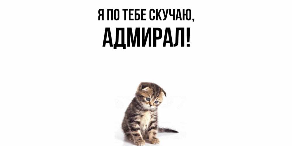 Открытка  для любимых и родных. адмирал, Я по тебе скучаю  