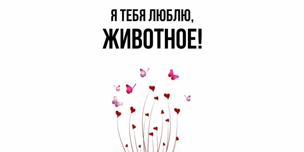 Открытка  для любимых и родных. животное, Я тебя люблю  