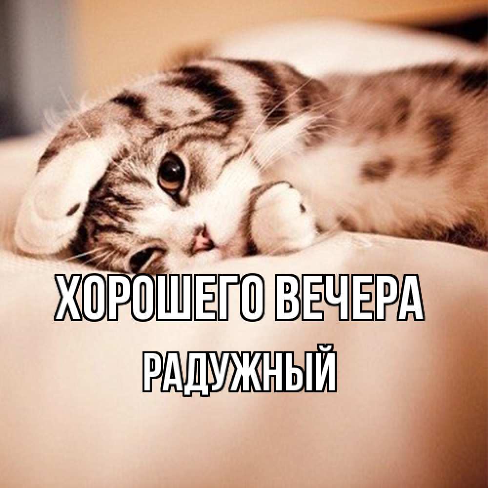 Открытка  для любимых и родных. радужный, Хорошего вечера  