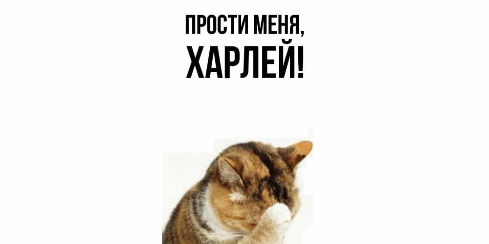 Открытка  для любимых и родных. харлей, Прости меня  