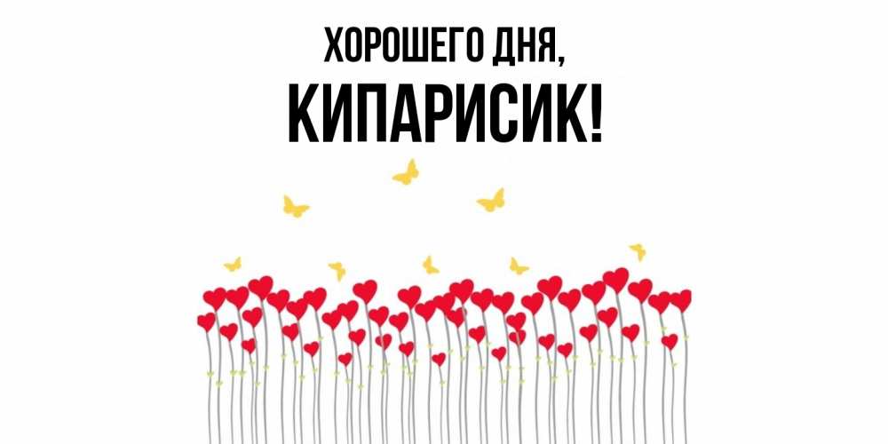 Открытка  для любимых и родных. кипарисик, Хорошего дня  