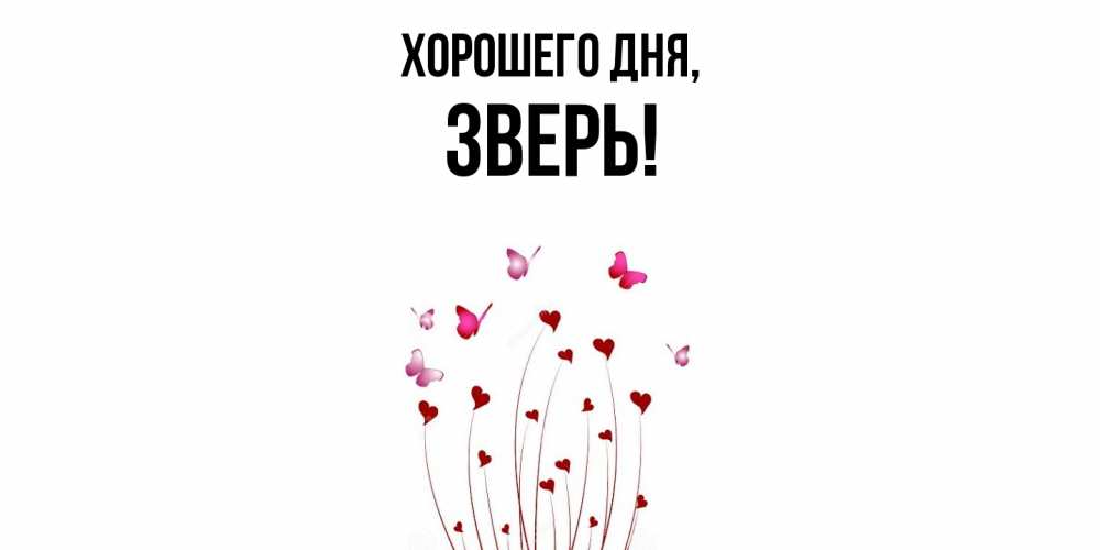 Открытка  для любимых и родных. зверь, Хорошего дня  