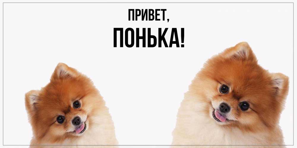 Открытка  для любимых и родных. понька, Привет  