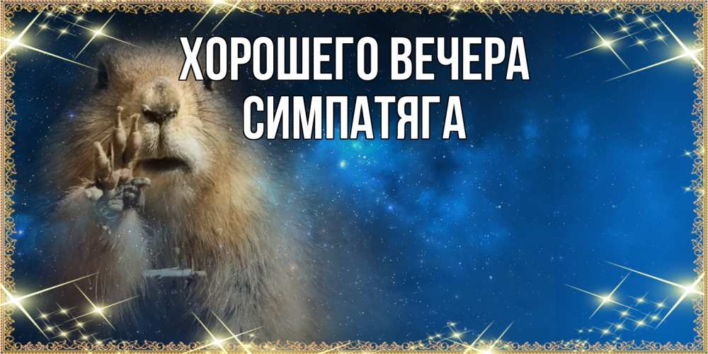 Открытка  для любимых и родных. симпатяга, Хорошего вечера  