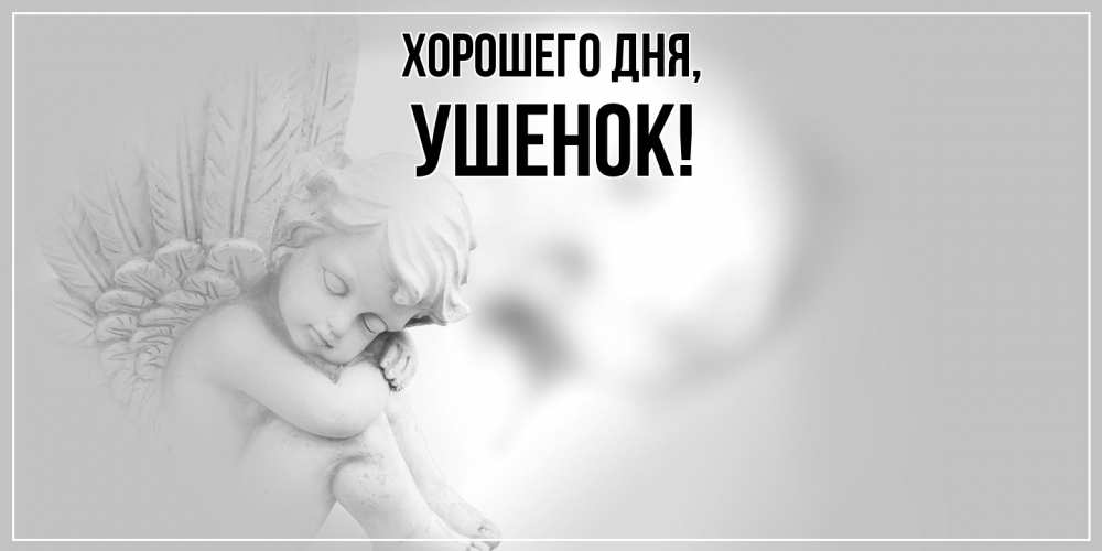 Открытка  для любимых и родных. ушенок, Хорошего дня  