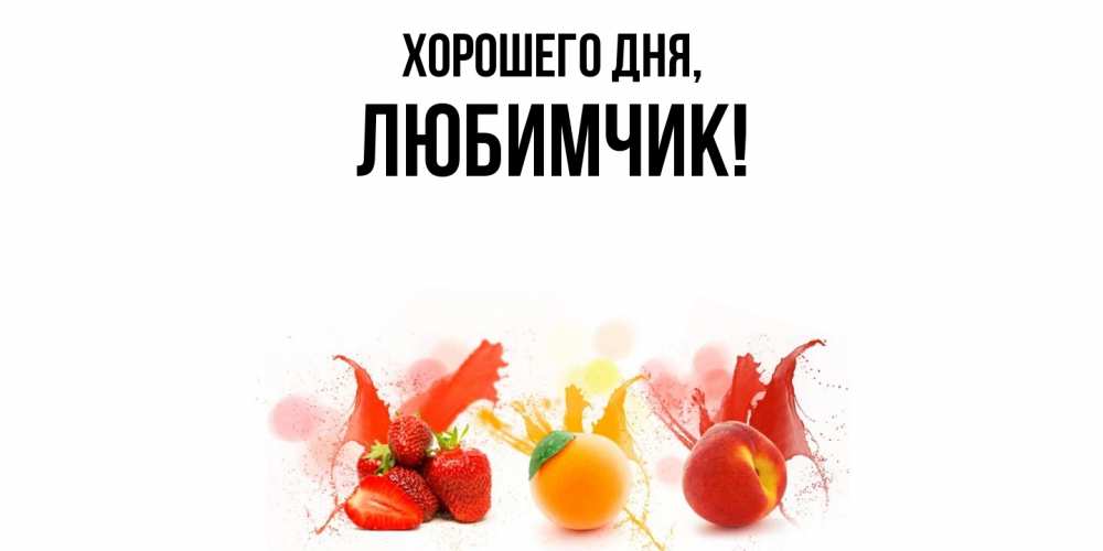 Открытка  для любимых и родных. любимчик, Хорошего дня  