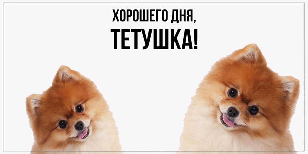 Открытка  для любимых и родных. Тетушка, Хорошего дня  