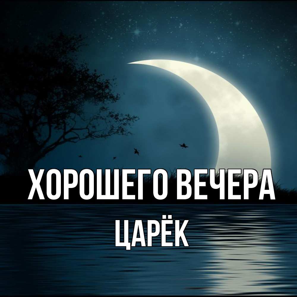 Открытка  для любимых и родных. царёк, Хорошего вечера  