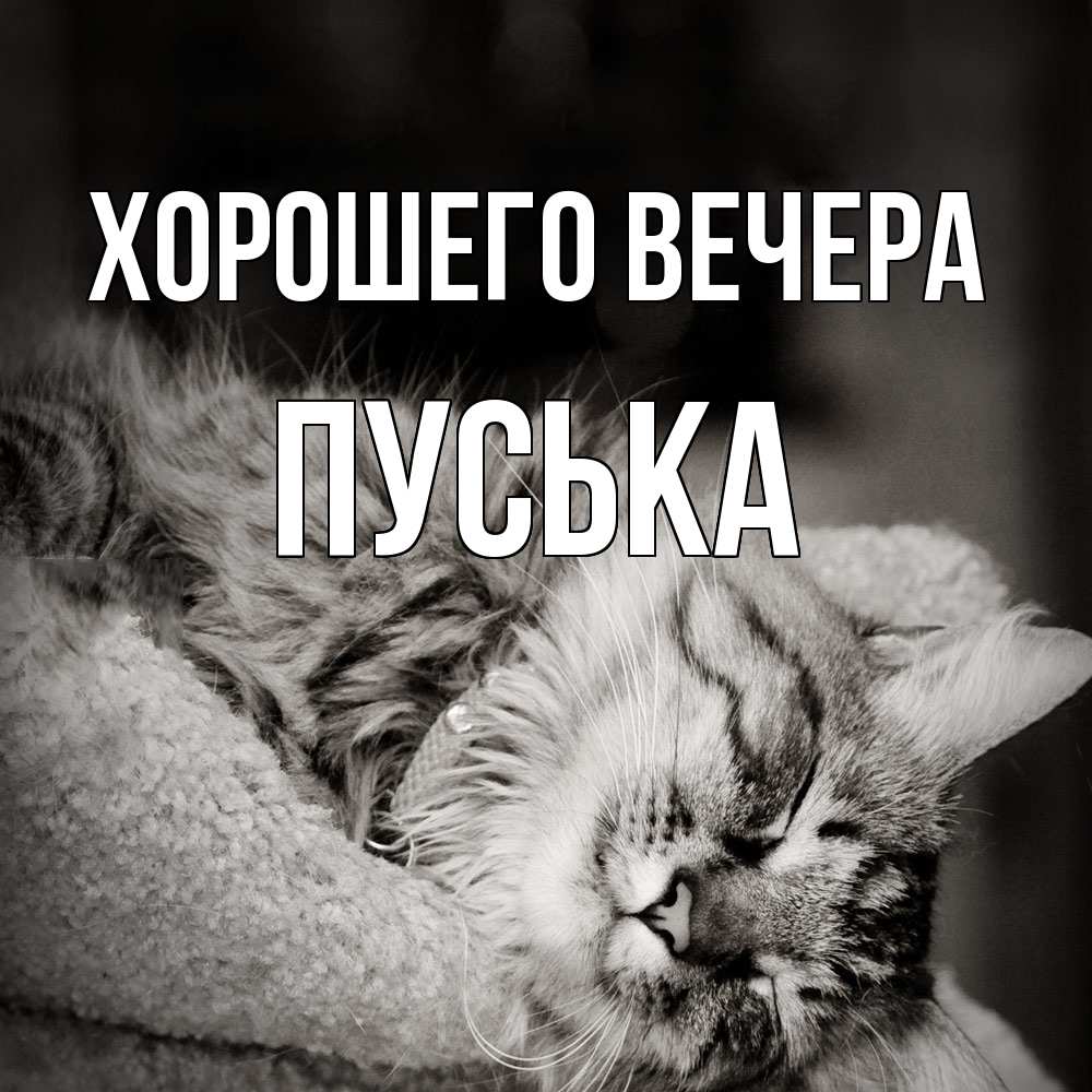 Картинка Хорошего вечера, пуська