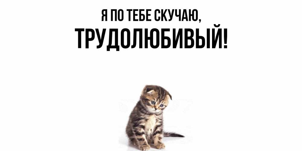 Картинка Я по тебе скучаю, трудолюбивый