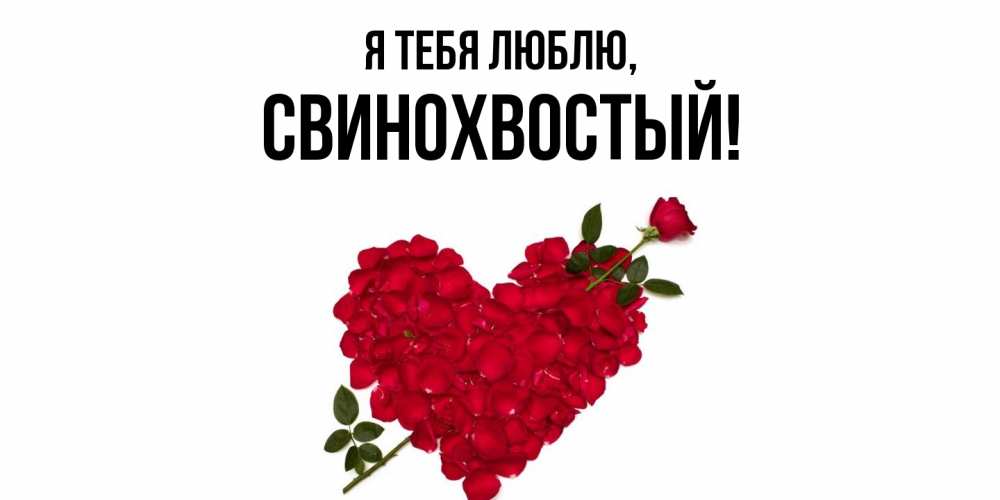 Открытка  для любимых и родных. свинохвостый, Я тебя люблю  