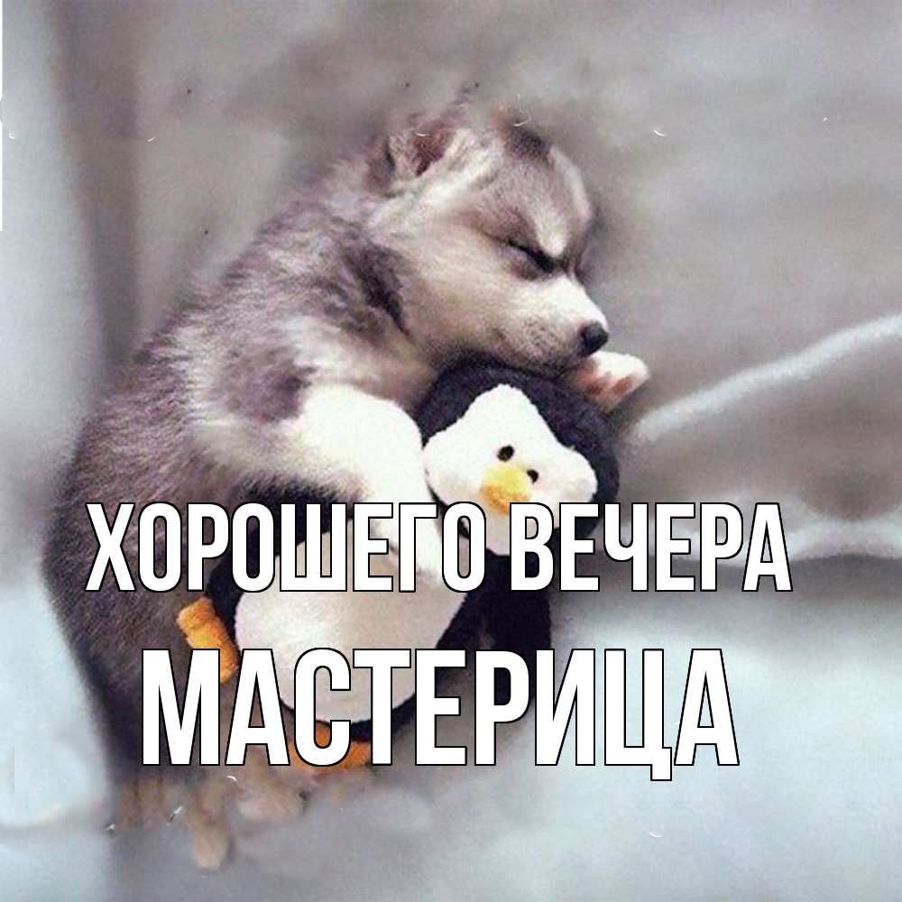 Открытка  для любимых и родных. мастерица, Хорошего вечера  