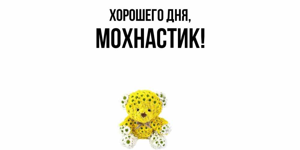 Открытка  для любимых и родных. мохнастик, Хорошего дня  