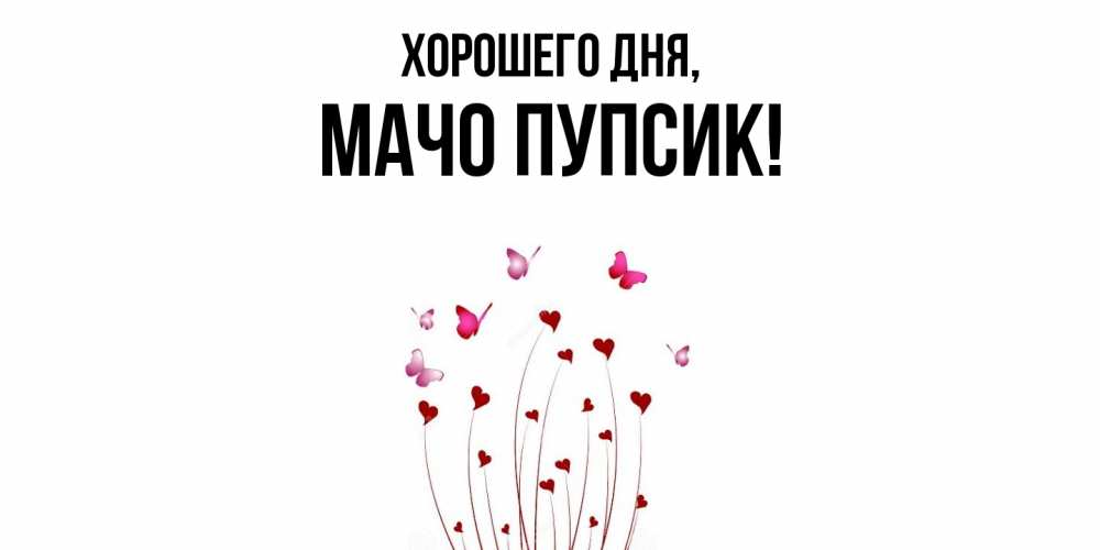 Открытка  для любимых и родных. мачо, Хорошего дня  