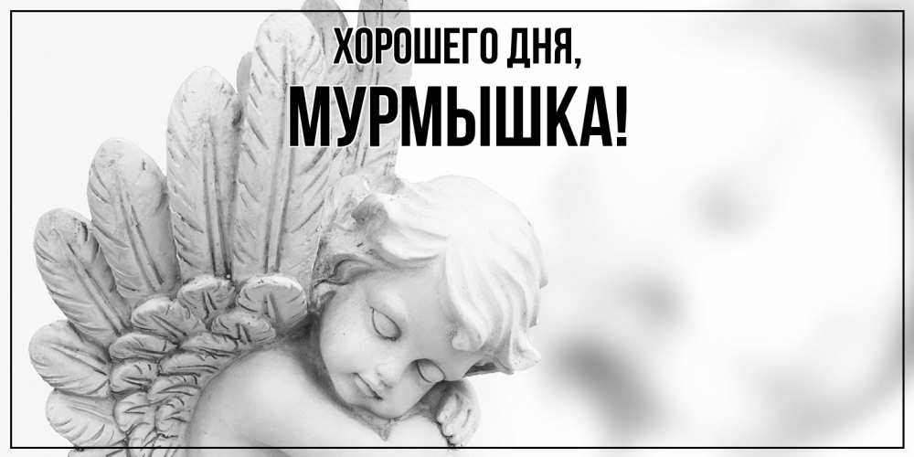 Открытка  для любимых и родных. мурмышка, Хорошего дня  