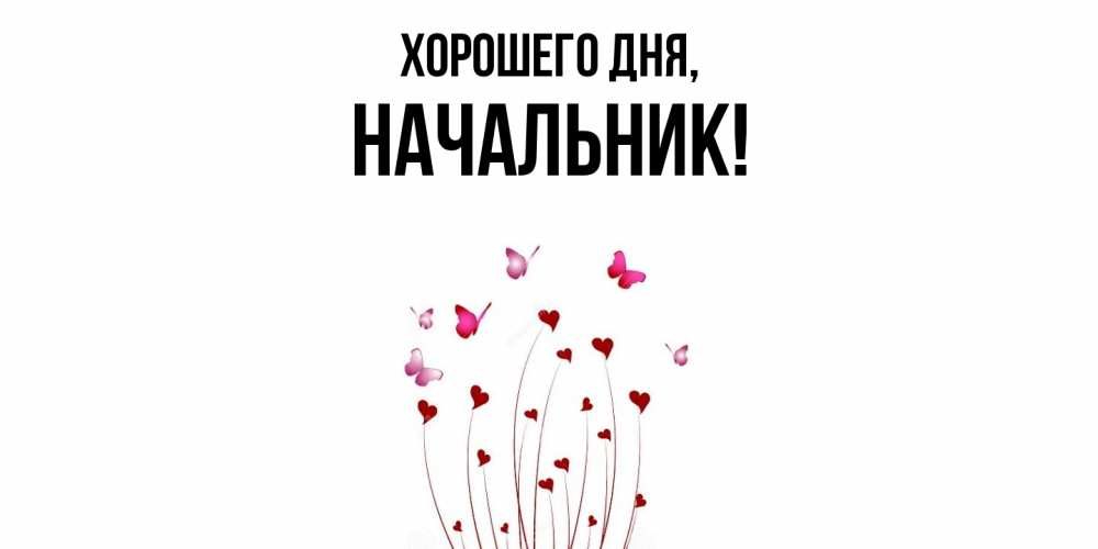 Открытка  для любимых и родных. Начальник, Хорошего дня  
