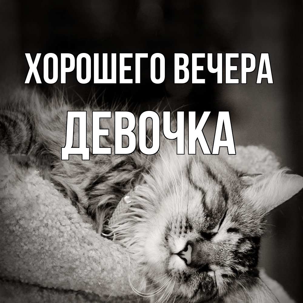 Картинка Хорошего вечера, девочка