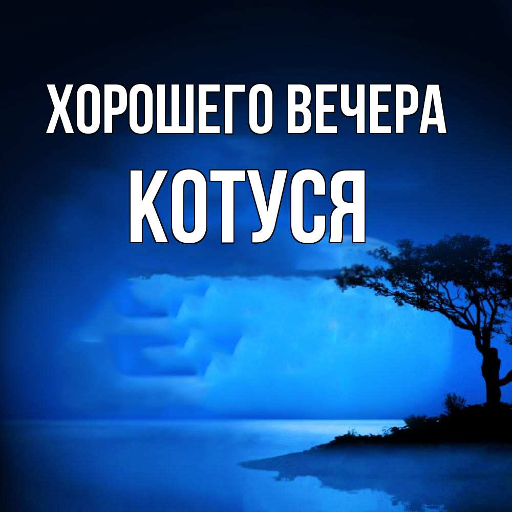 Открытка с именем, Котуся, Хорошего вечера
