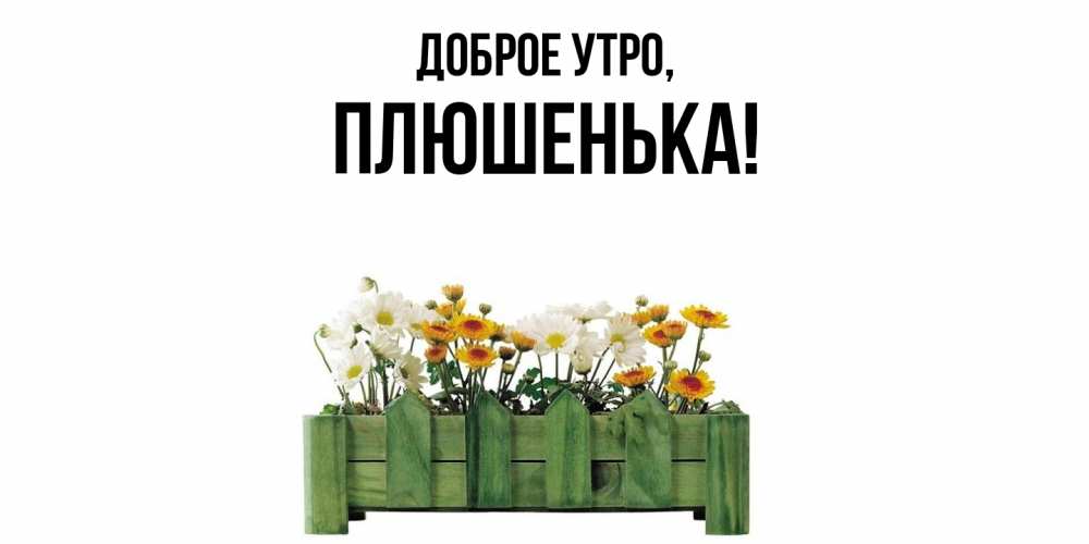 Картинка Доброе утро, плюшенька