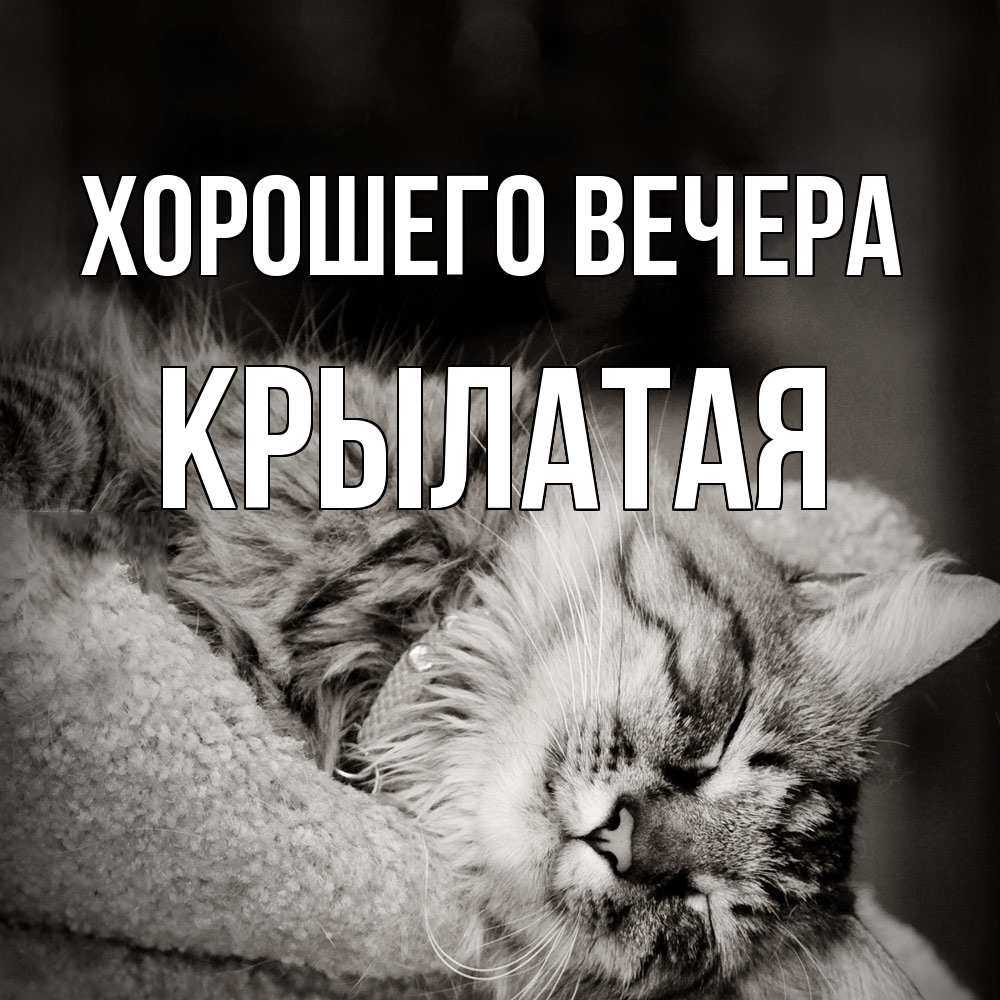 Открытка  для любимых и родных. крылатая, Хорошего вечера  