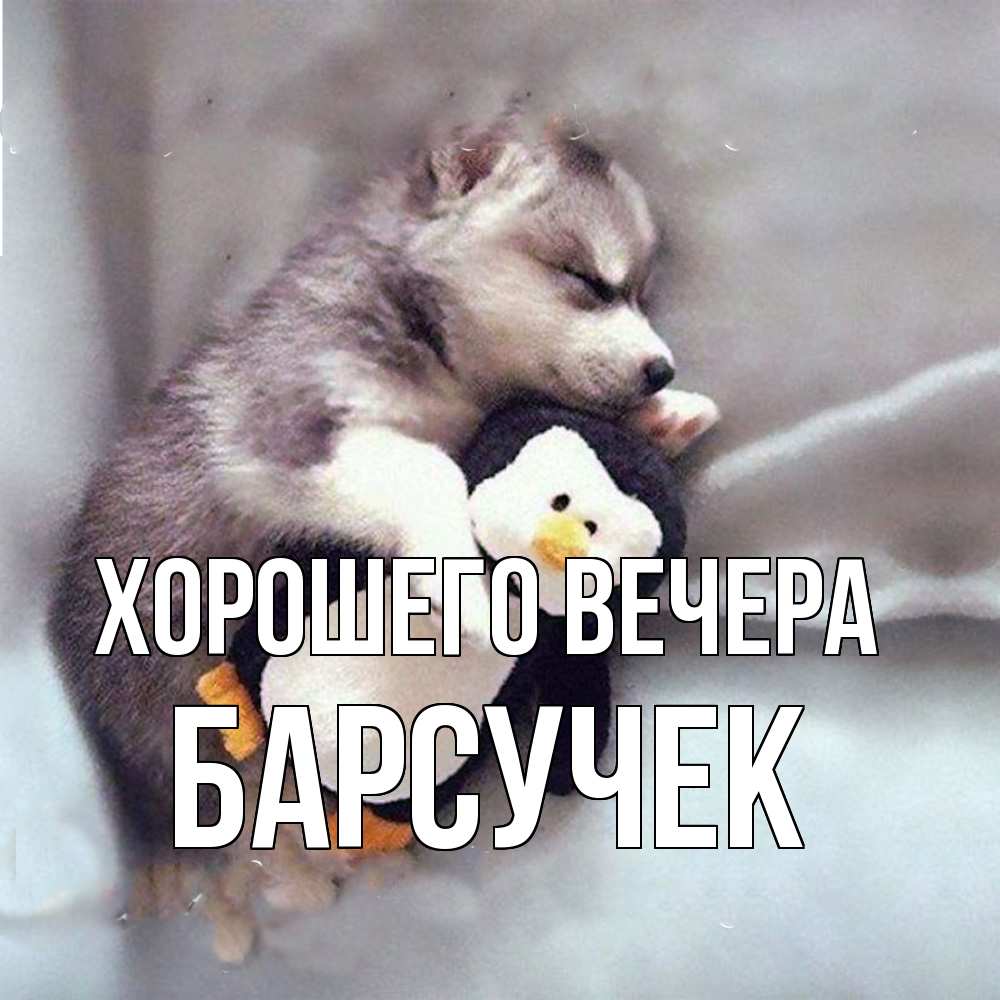 Открытка с именем, барсучек, Хорошего вечера